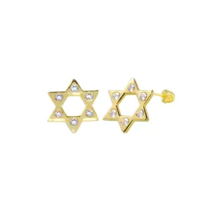 14E00340. - 14 Karat Yellow Gold CZ Star of David Screw Back Earring