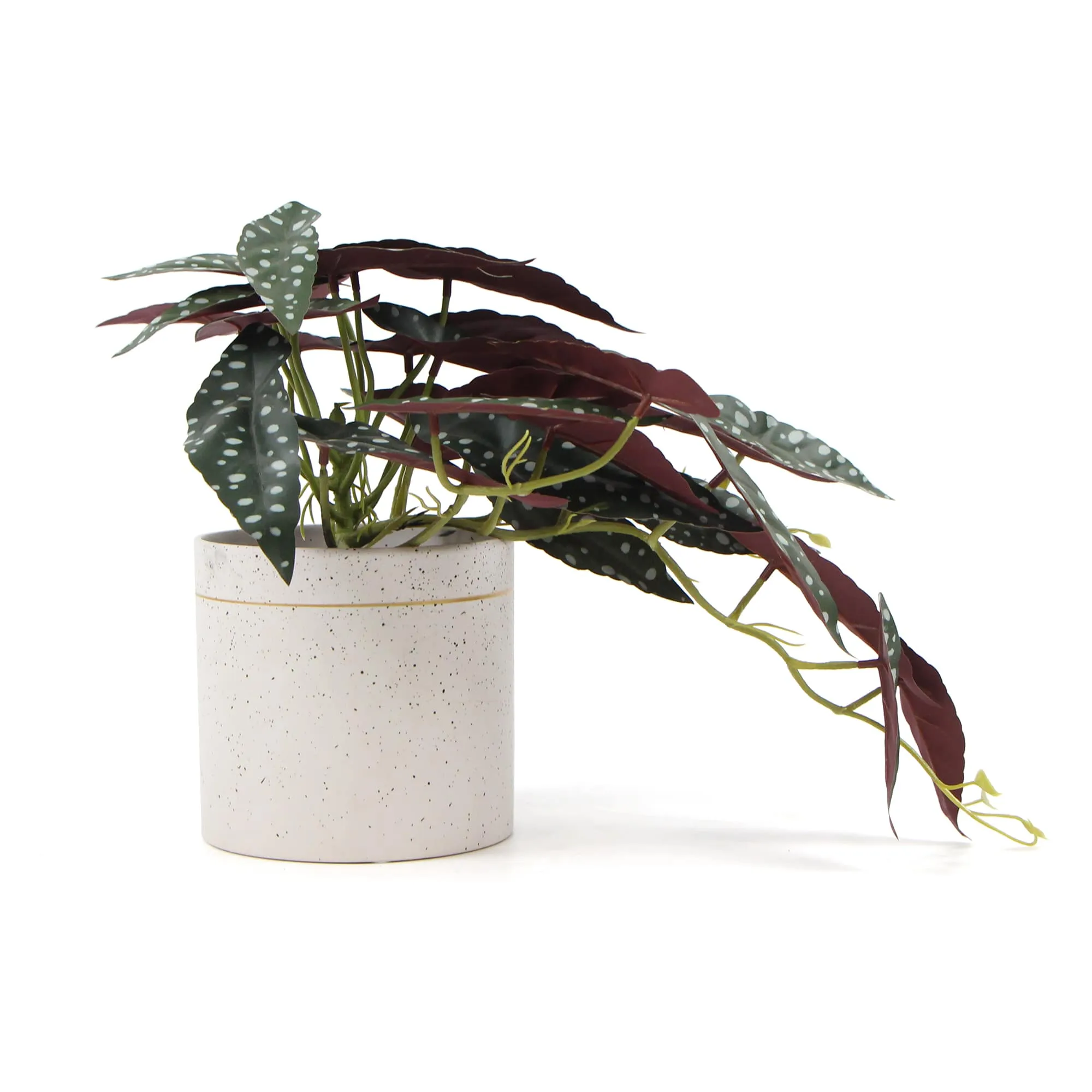 Artificial Begonia Plant In Decorative Bowl 30cm