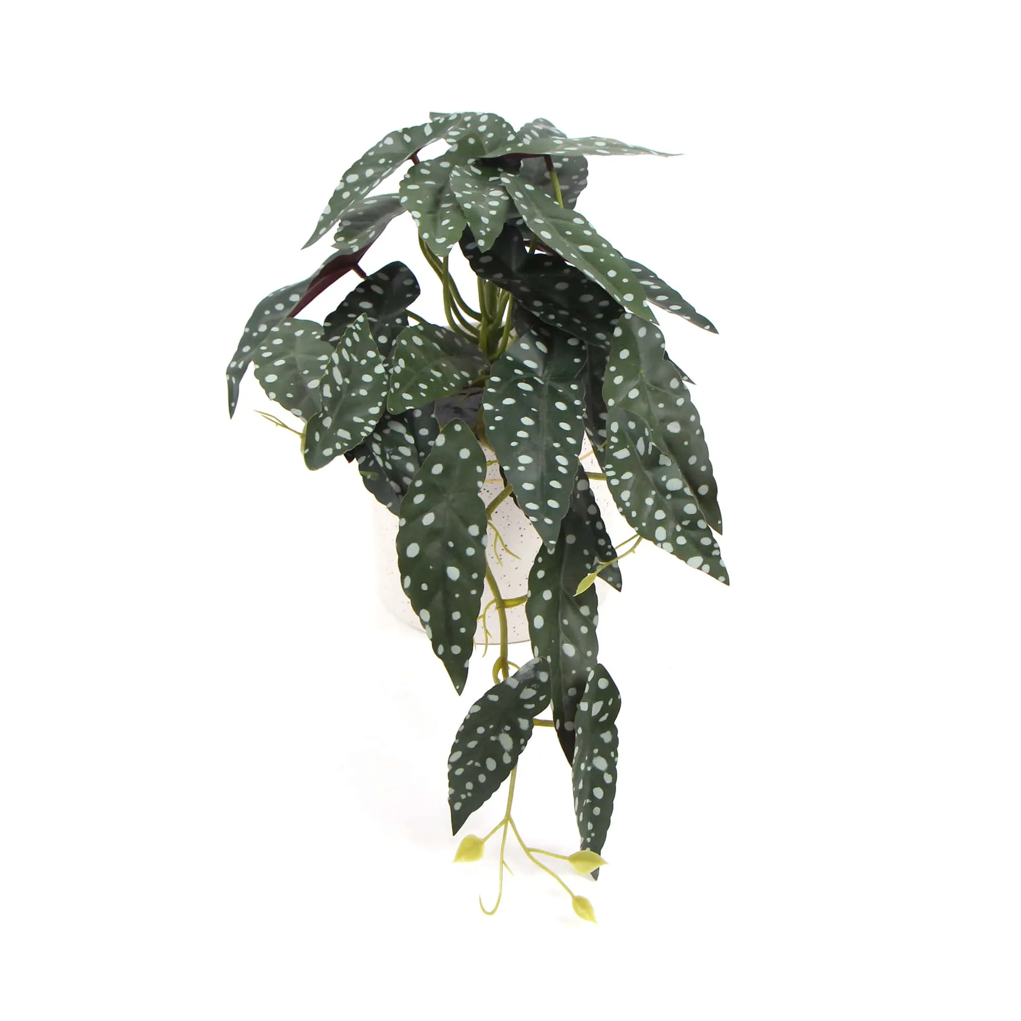 Artificial Begonia Plant In Decorative Bowl 30cm