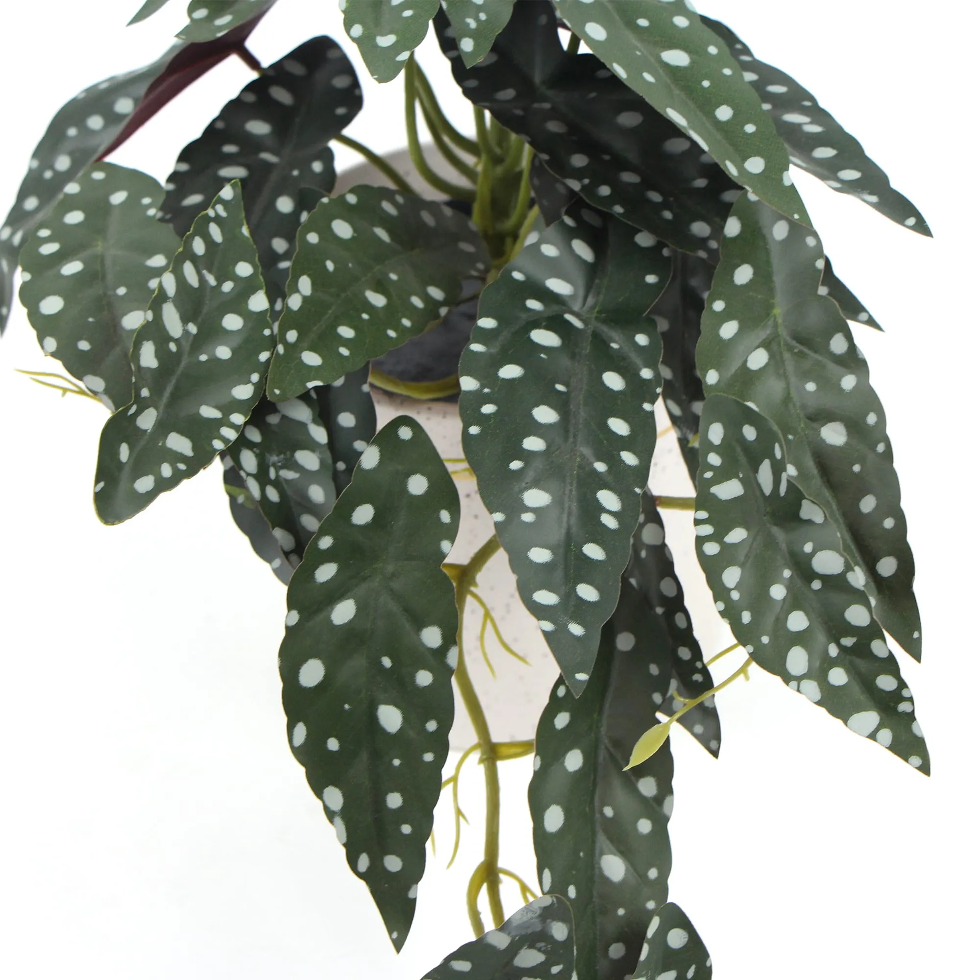 Artificial Begonia Plant In Decorative Bowl 30cm