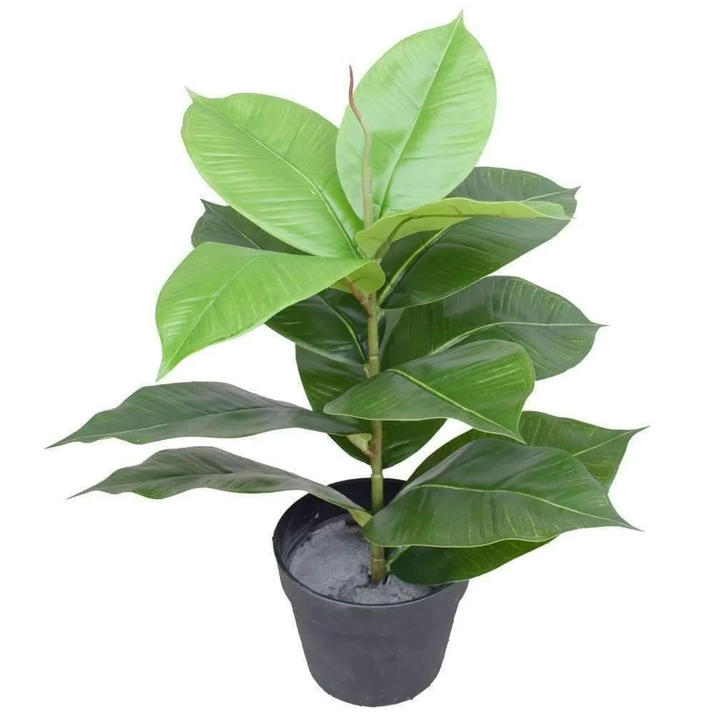 Artificial Potted Rubber Plant 55 cm