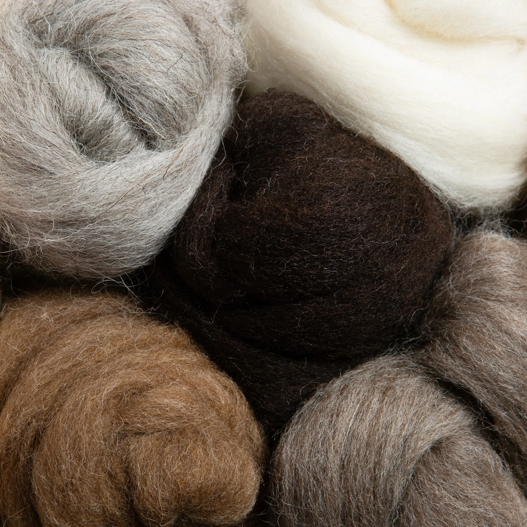 British Breeds Wool Bundle No.2