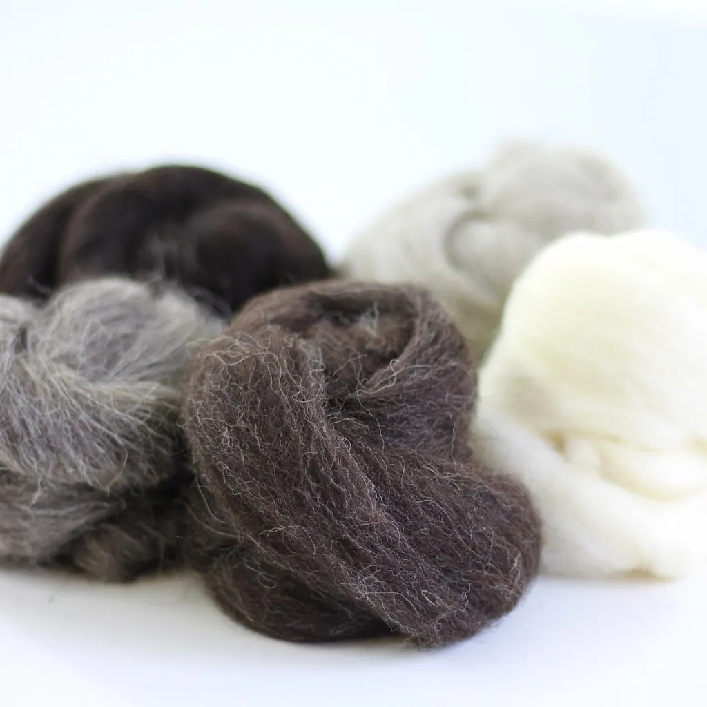 British Breeds Wool Bundle No.3