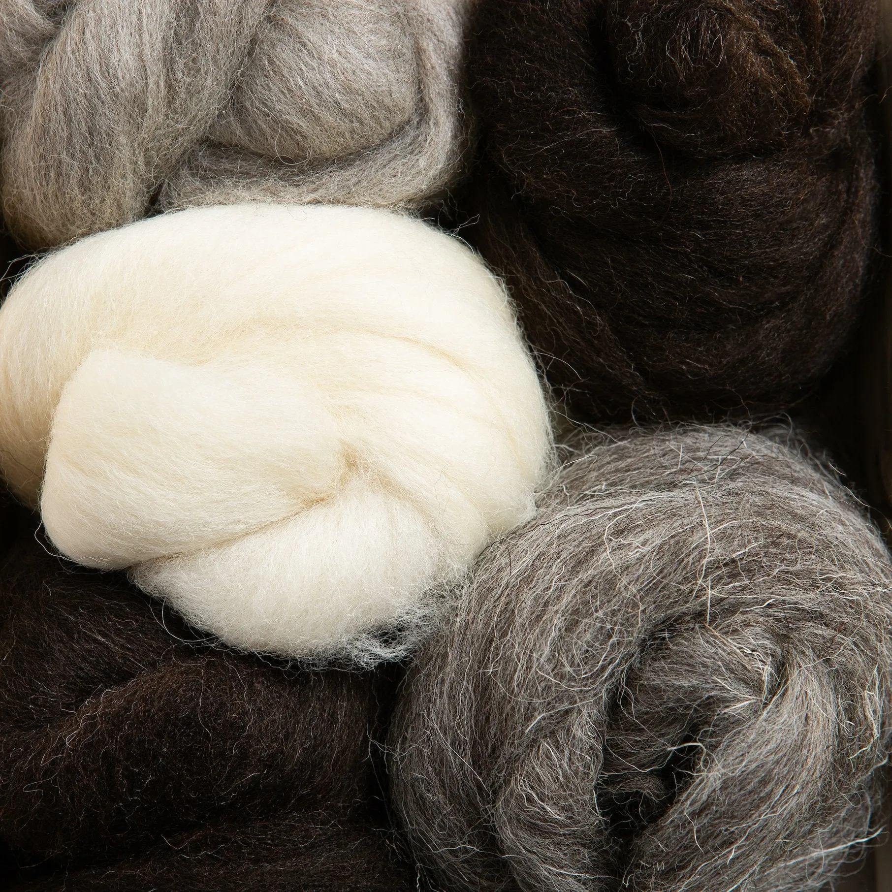 British Breeds Wool Bundle No.3